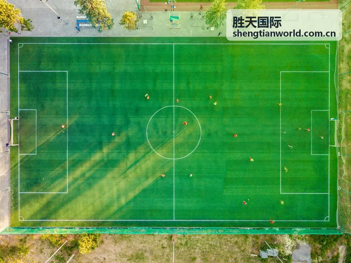 胜天国际东南亚供应链报告